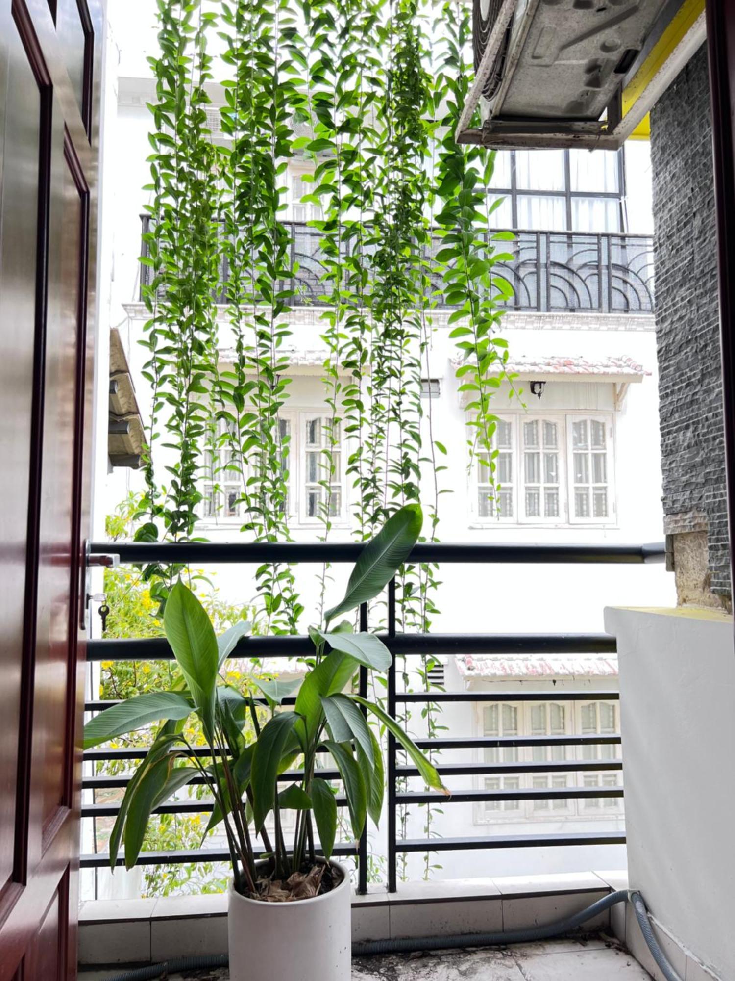 Co Homestay Saigon Хошимін Екстер'єр фото